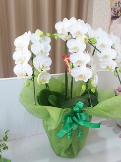 20130317161716-430.jpg