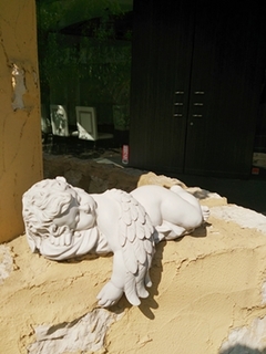 DSC_0293.jpg